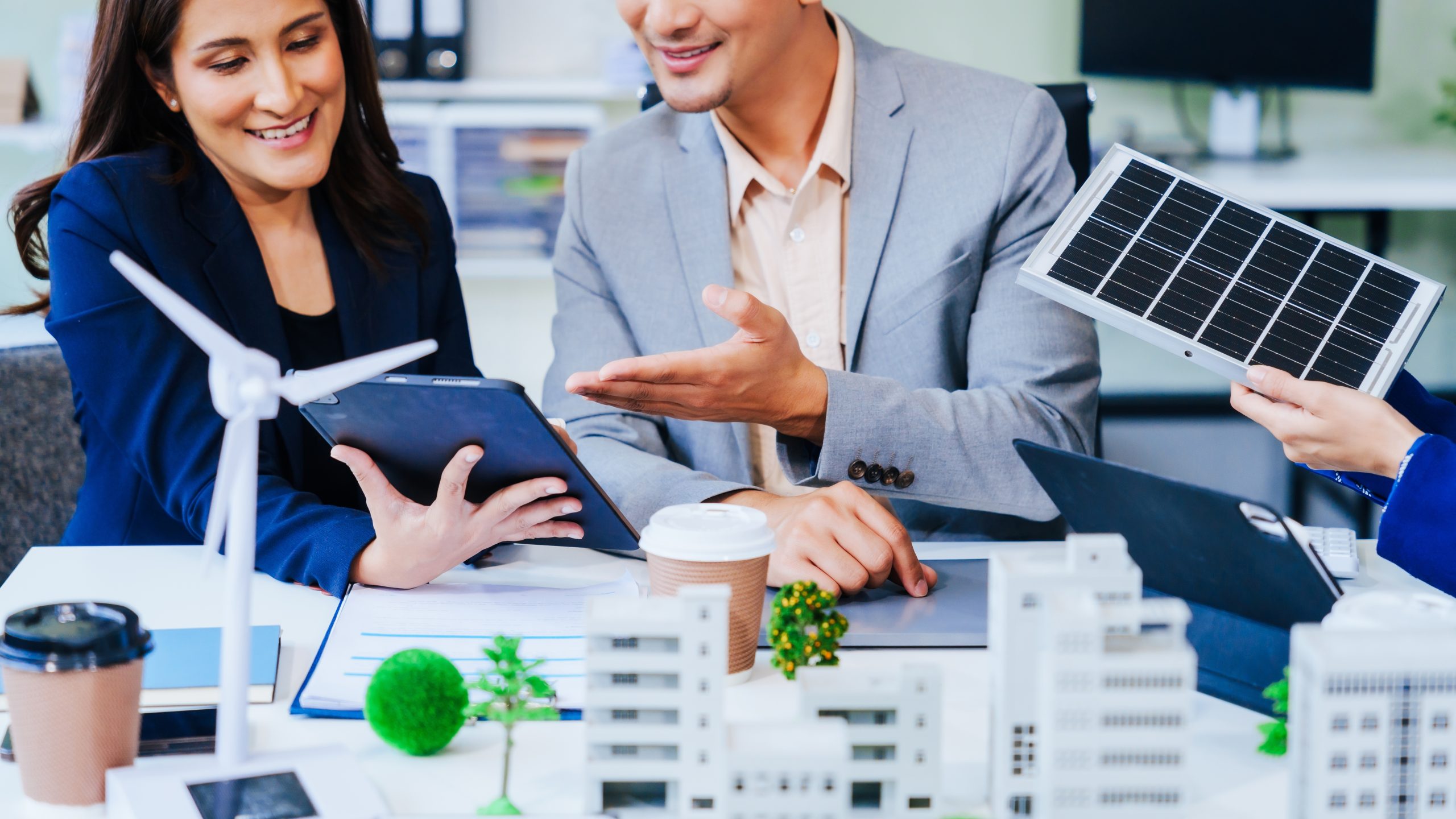 Consultant in an energy client